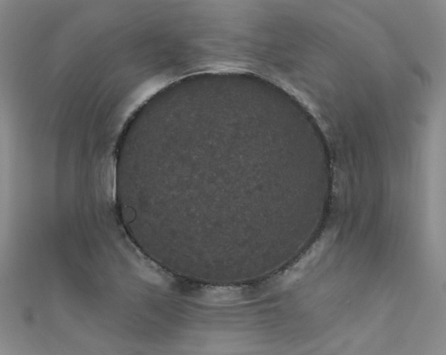 X0000111521171200907141502