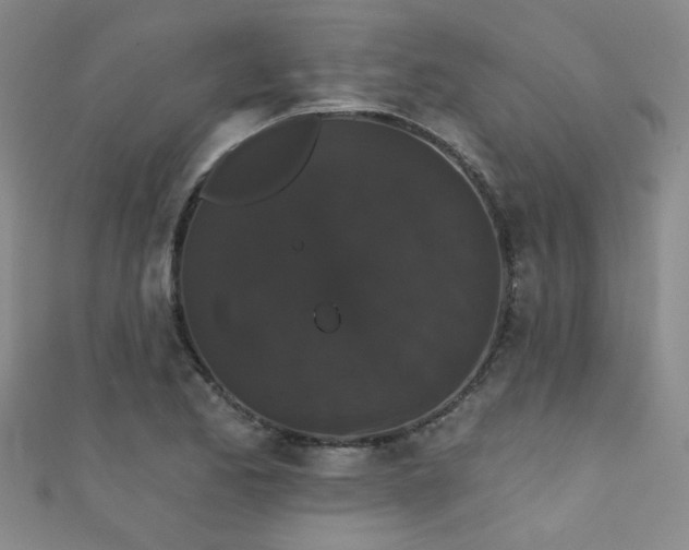 X0000111521173200907141502