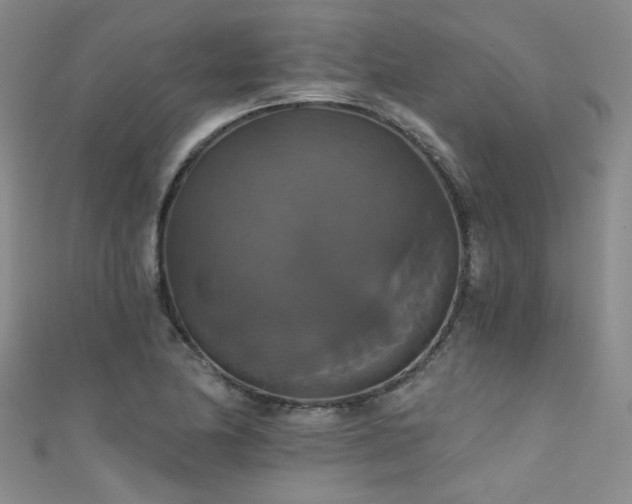 X0000111521174200907141502