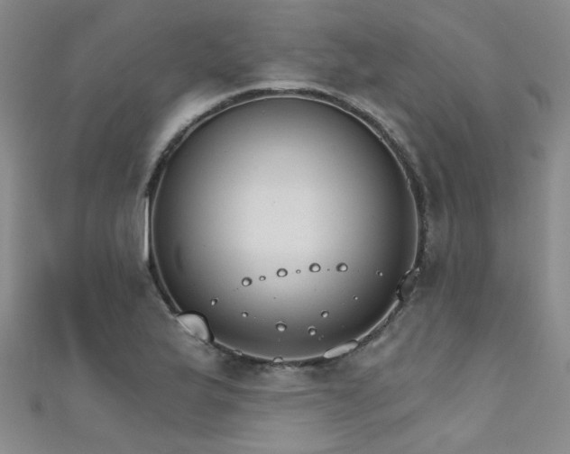X0000111521175200907141502