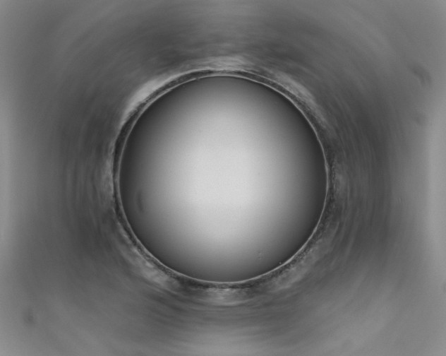 X0000111521176200907141502