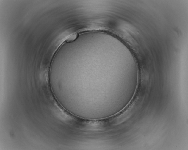 X0000111521177200907141502