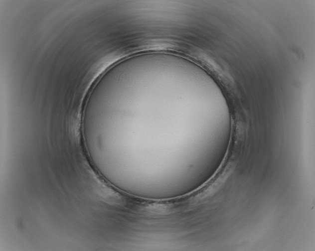 X0000111521178200907141502