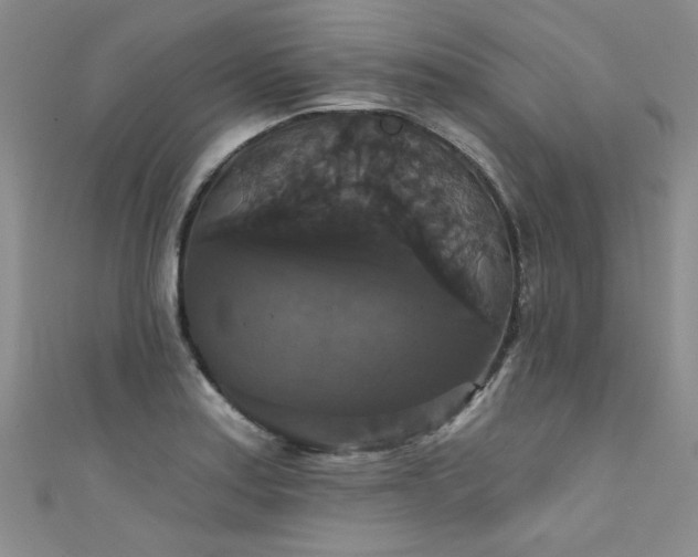 X0000111521179200907141502