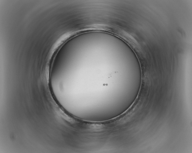 X0000111521180200907141502