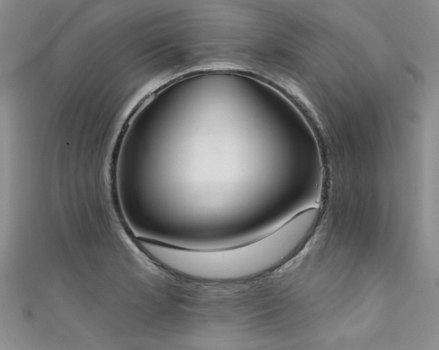X0000111521181200907141502