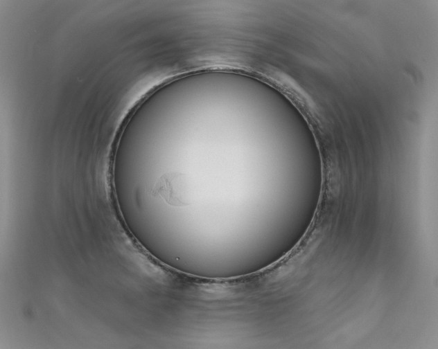 X0000111521182200907141501