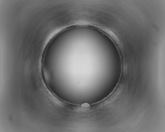 X0000111521183200907141501