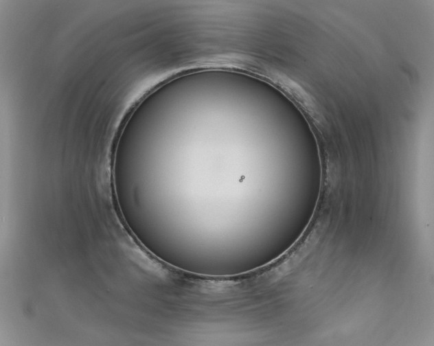 X0000111521184200907141501