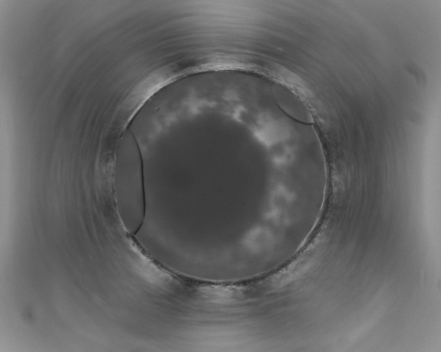 X0000111521185200907141501