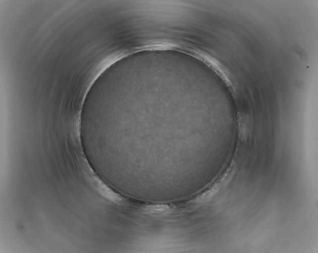 X0000111521186200907141501