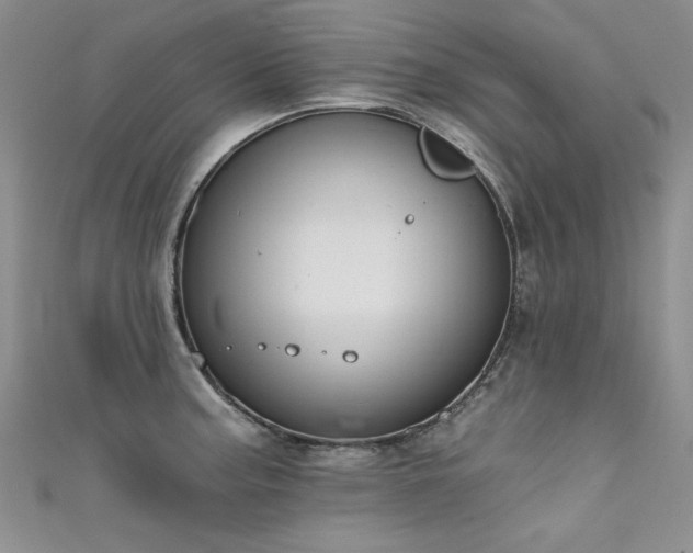 X0000111521187200907141501