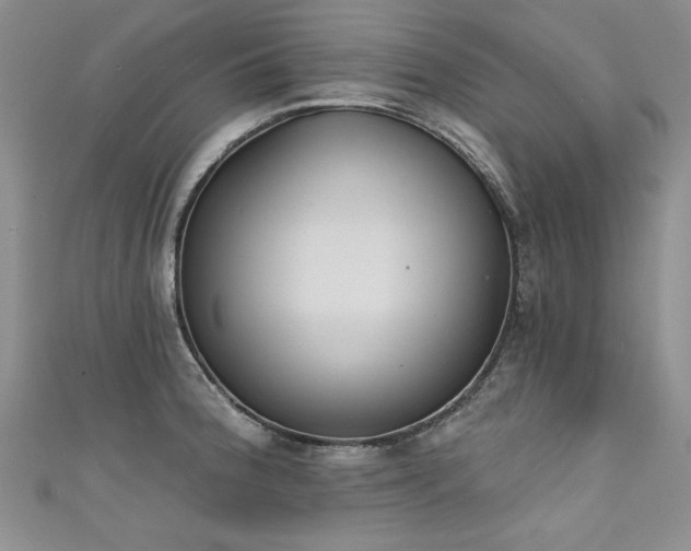 X0000111521188200907141501