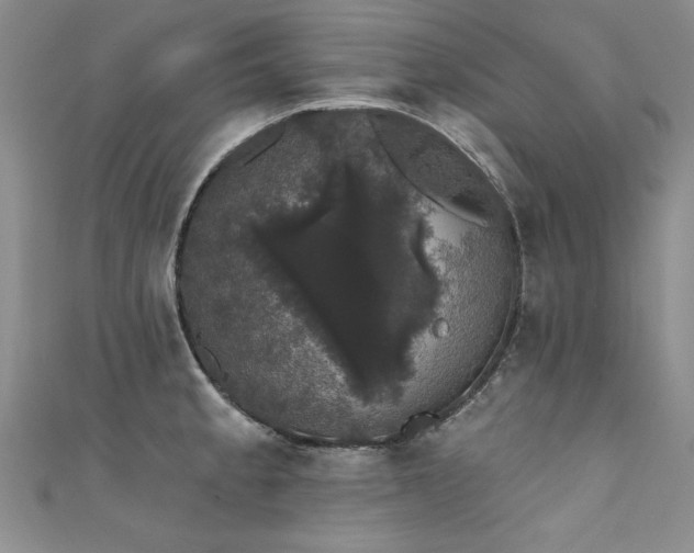 X0000111521189200907141501
