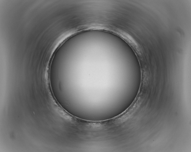 X0000111521190200907141501