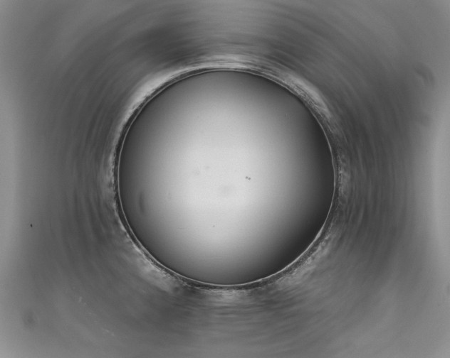 X0000111521192200907141501