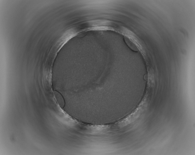 X0000111521193200907141501