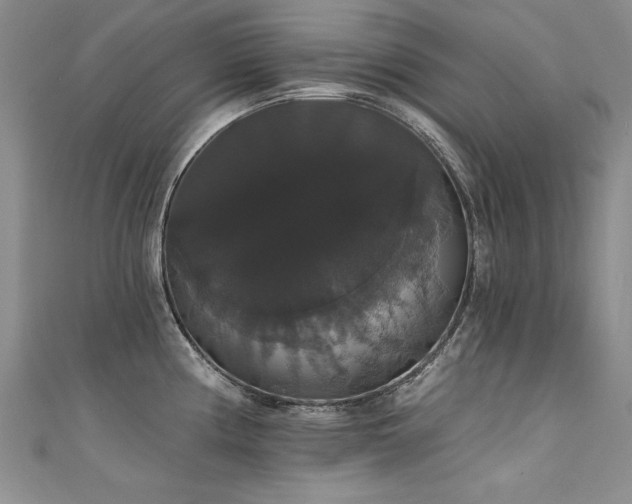 X0000111521194200907141501