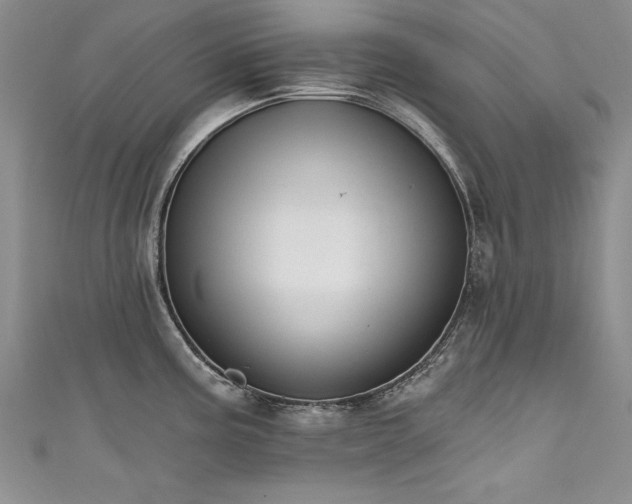X0000111521195200907141501