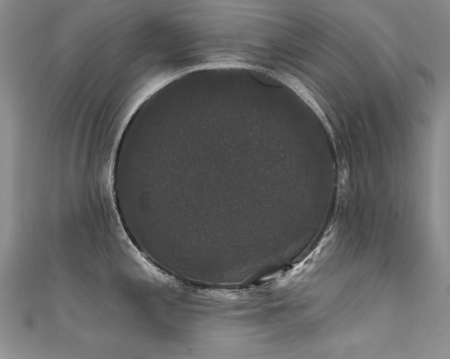 X0000111521197200907141501