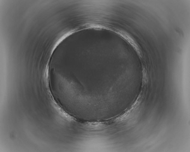 X0000111521198200907141501