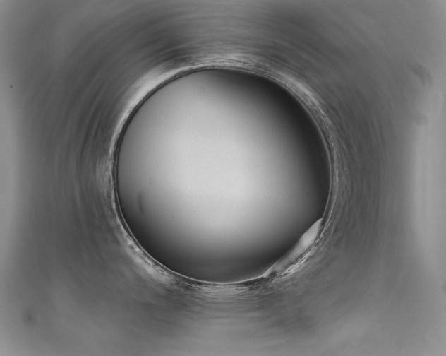 X0000111521200200907141501
