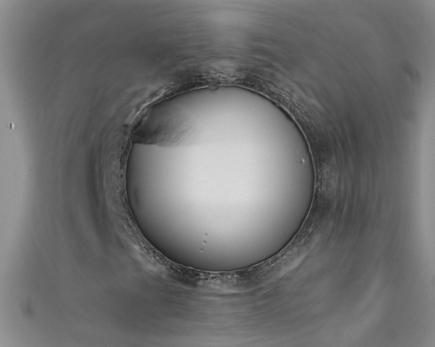 X0000111521201200907141501