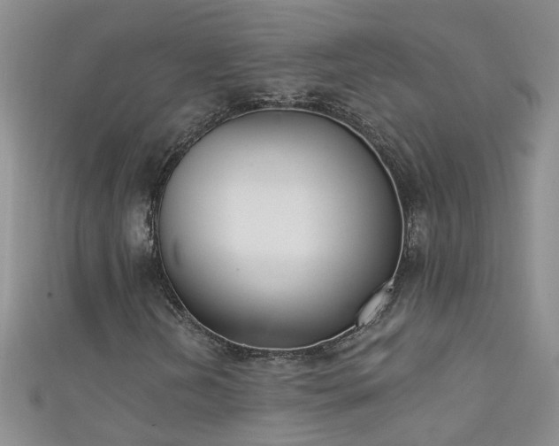 X0000111521202200907141501
