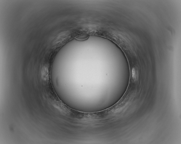 X0000111521203200907141501