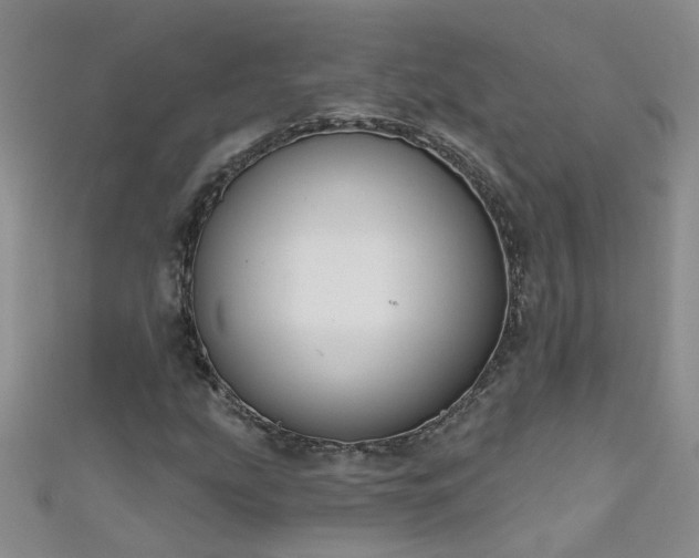 X0000111521207200907141501