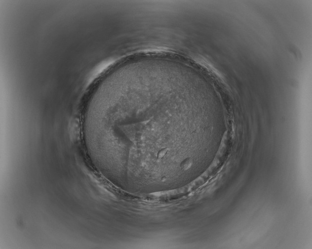 X0000111521208200907141501