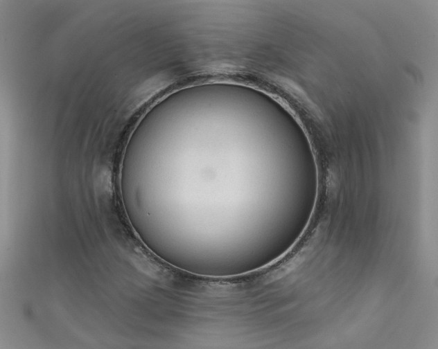 X0000111521209200907141501