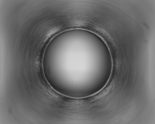 X0000111521210200907141501