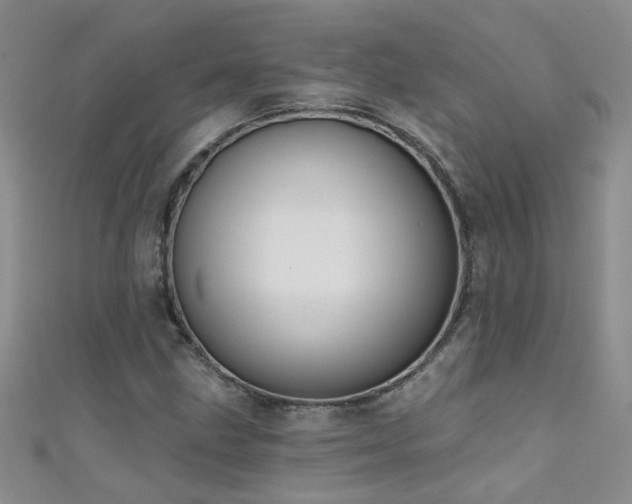 X0000111521211200907141501