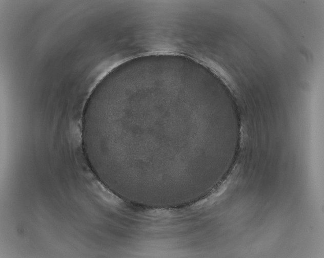 X0000111521212200907141501