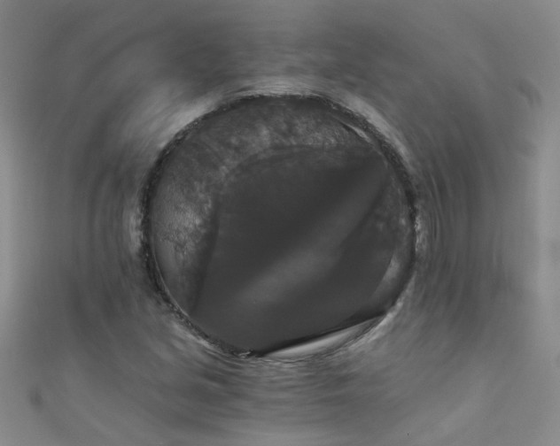 X0000111521213200907141501