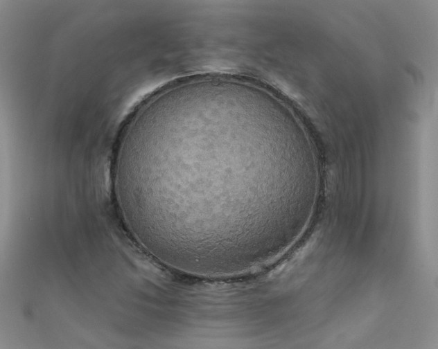 X0000111521214200907141501