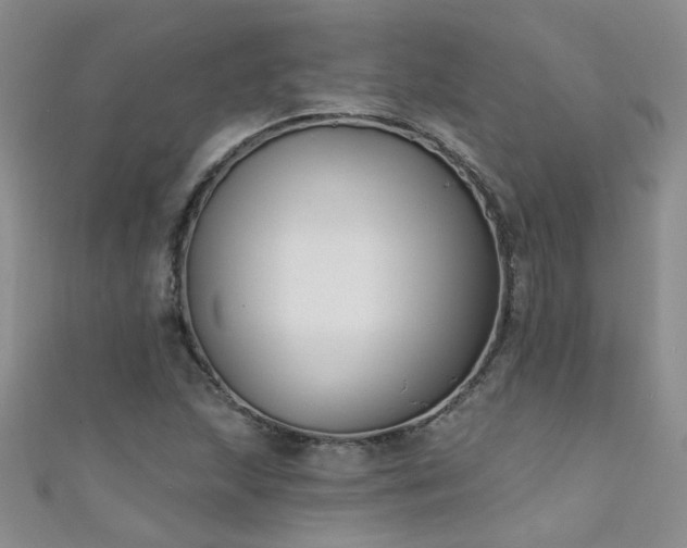 X0000111521215200907141501