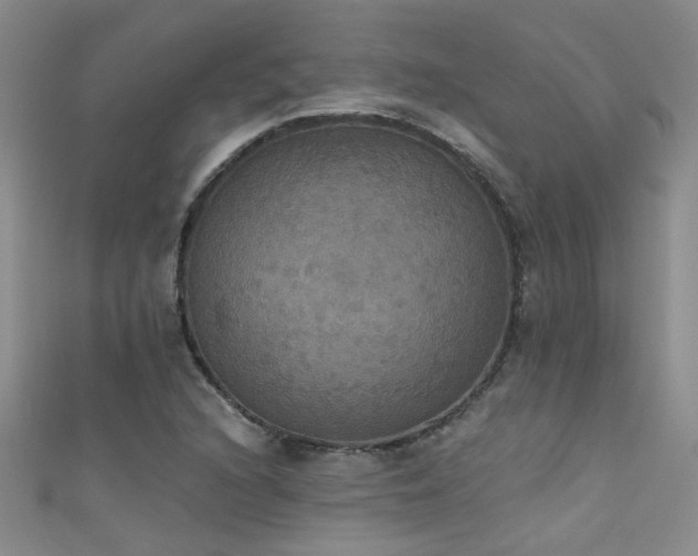 X0000111521216200907141501