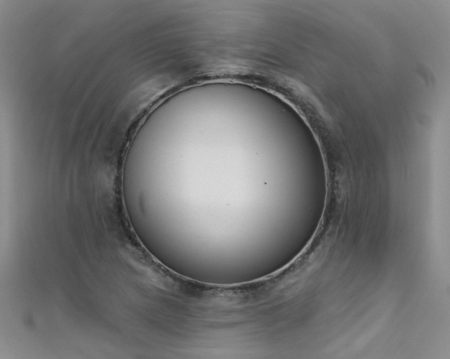 X0000111521217200907141501