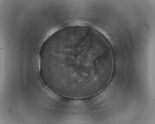X0000111521219200907141501