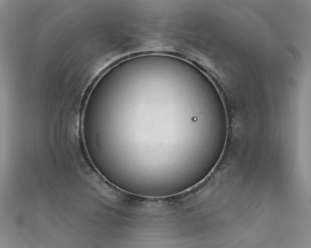 X0000111521220200907141501