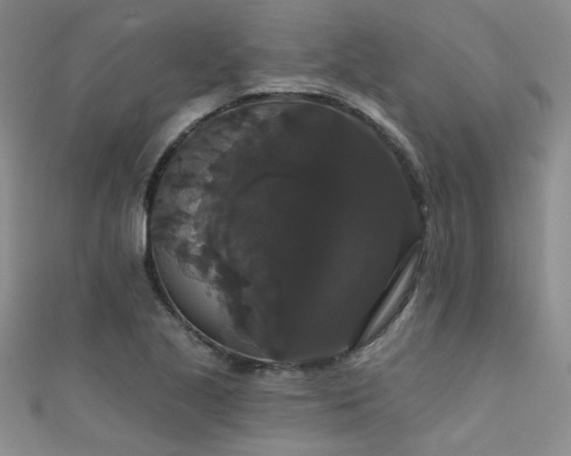 X0000111521221200907141501