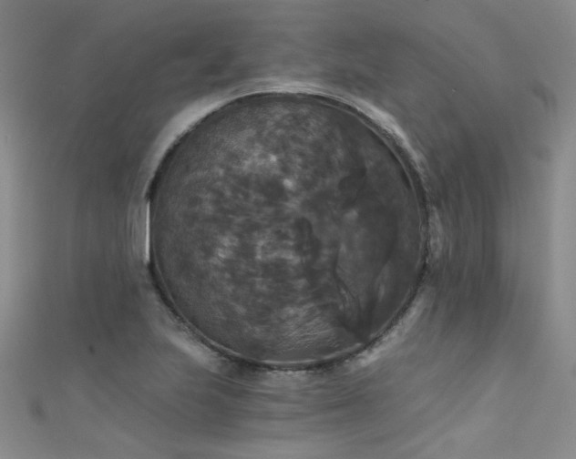 X0000111521223200907141501