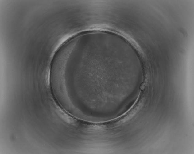 X0000111521224200907141501