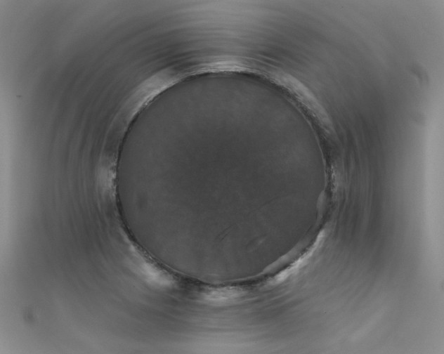 X0000111521225200907141501