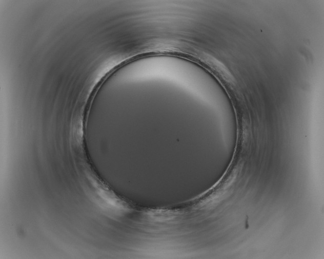 X0000111521226200907141501