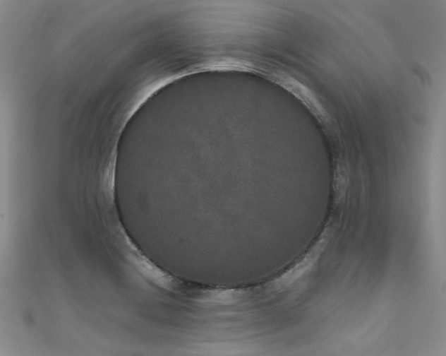 X0000111521228200907141501