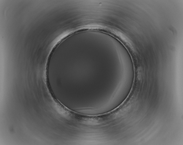 X0000111521229200907141501