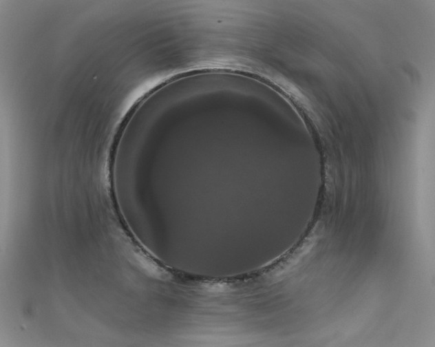 X0000111521230200907141501